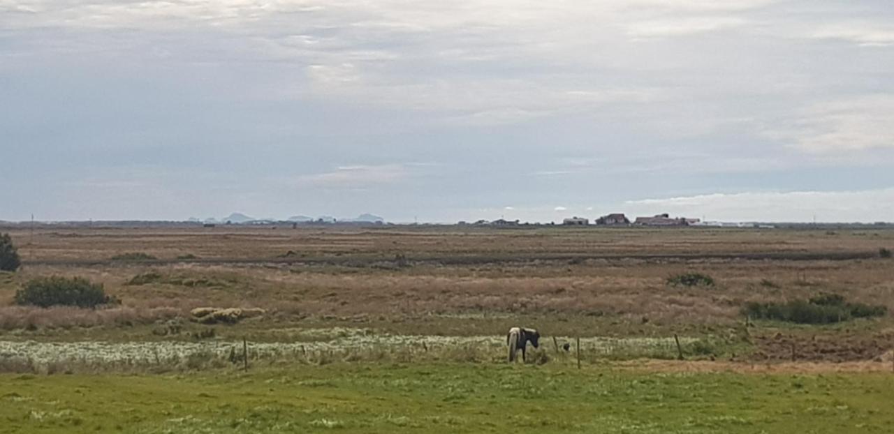 Efri-Gegnisholar Hotel Selfoss Eksteriør billede